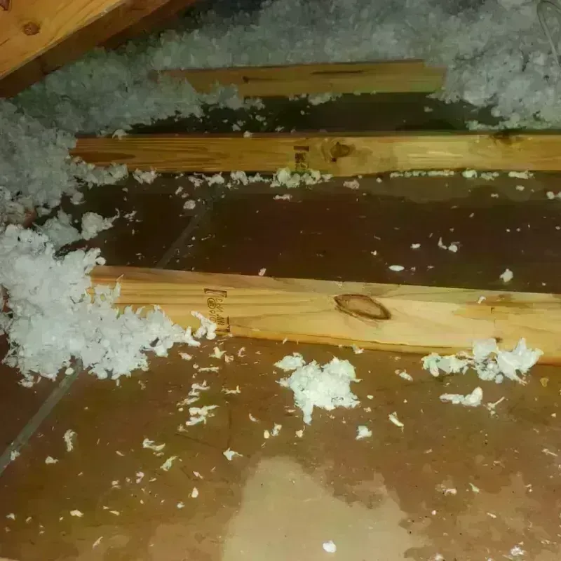 Attic Water Damage in Devon, PA